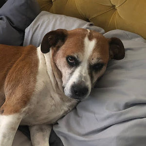 Meet your Posher, John